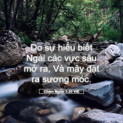 Picture 05 - Châm Ngôn 3:20 VIE - Do sự hiểu biết Ngài các vực sâu mở - Bible Verse Picture