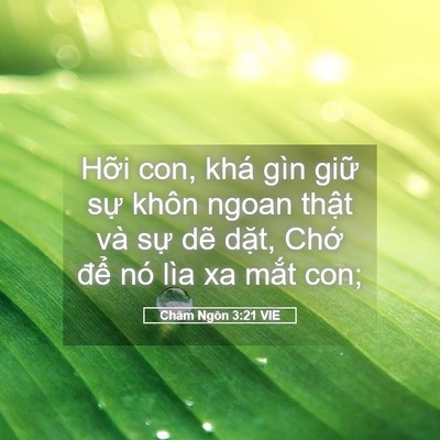 Picture 05 - Châm Ngôn 3:21 VIE - Hỡi con, khá gìn giữ sự khôn ngoan - Bible Verse Picture