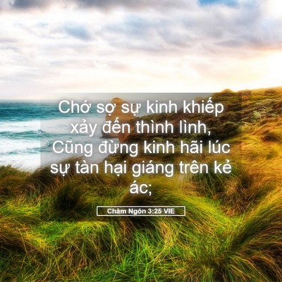 Picture 05 - Châm Ngôn 3:25 VIE - Chớ sợ sự kinh khiếp xảy đến thình - Bible Verse Picture