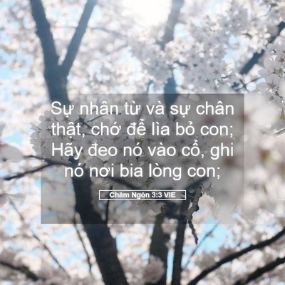 Picture 05 - Châm Ngôn 3:3 VIE - Sự nhân từ và sự chân thật, chớ - Bible Verse Picture