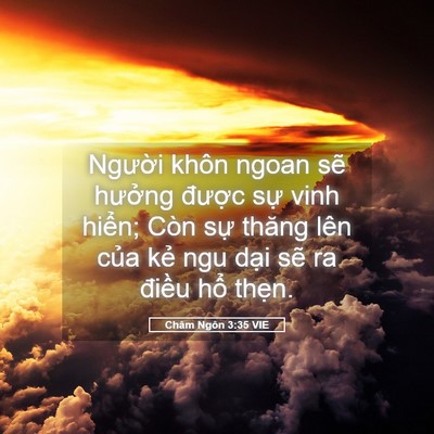 Picture 05 - Châm Ngôn 3:35 VIE - Người khôn ngoan sẽ hưởng được sự - Bible Verse Picture