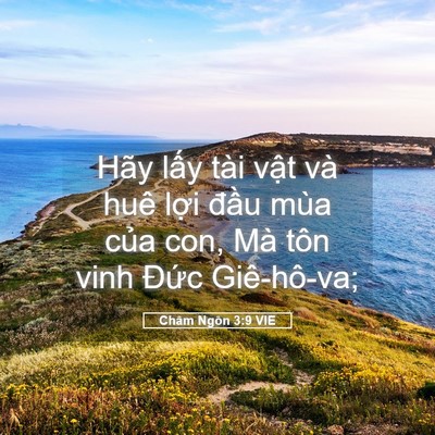 Picture 05 - Châm Ngôn 3:9 VIE - Hãy lấy tài vật và huê lợi đầu mùa - Bible Verse Picture