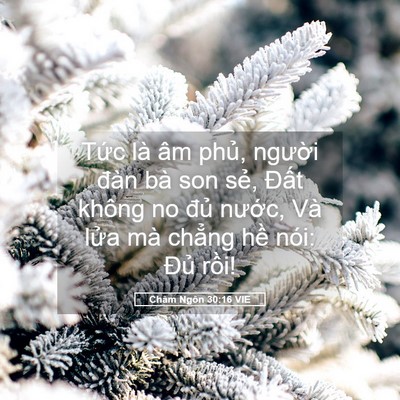 Picture 05 - Châm Ngôn 30:16 VIE - Tức là âm phủ, người đàn bà son sẻ, - Bible Verse Picture