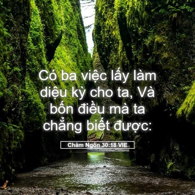 Picture 05 - Châm Ngôn 30:18 VIE - Có ba việc lấy làm diệu kỳ cho ta, Và - Bible Verse Picture