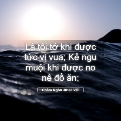 Picture 05 - Châm Ngôn 30:22 VIE - Là tôi tớ khi được tức vị vua; Kẻ - Bible Verse Picture