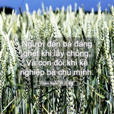 Picture 05 - Châm Ngôn 30:23 VIE - Người đàn bà đáng ghét khi lấy - Bible Verse Picture