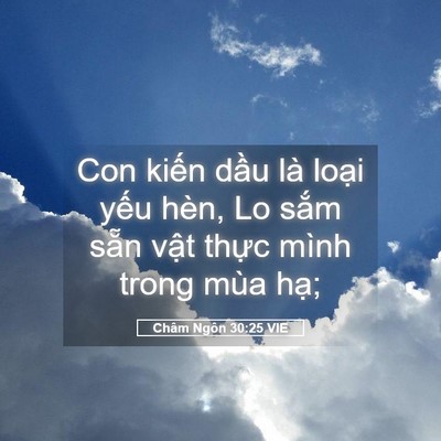 Picture 05 - Châm Ngôn 30:25 VIE - Con kiến dầu là loại yếu hèn, Lo sắm - Bible Verse Picture
