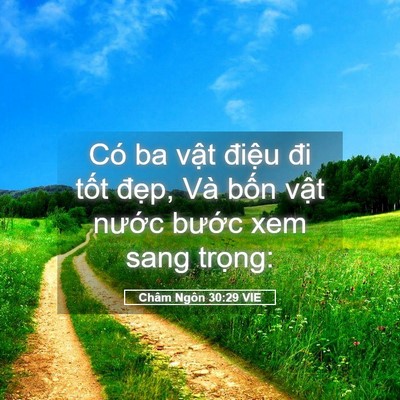 Picture 05 - Châm Ngôn 30:29 VIE - Có ba vật điệu đi tốt đẹp, Và bốn - Bible Verse Picture
