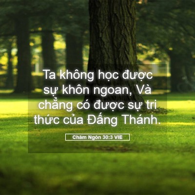Picture 05 - Châm Ngôn 30:3 VIE - Ta không học được sự khôn ngoan, Và - Bible Verse Picture