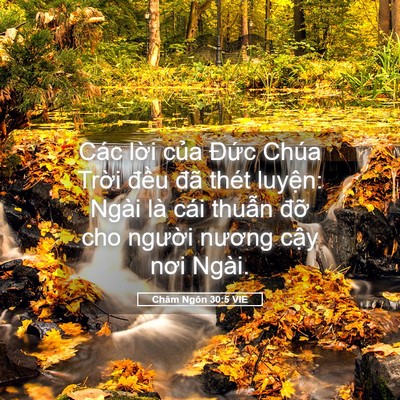 Picture 05 - Châm Ngôn 30:5 VIE - Các lời của Đức Chúa Trời đều đã - Bible Verse Picture