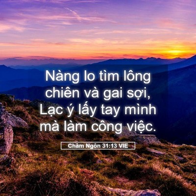 Picture 05 - Châm Ngôn 31:13 VIE - Nàng lo tìm lông chiên và gai sợi, Lạc - Bible Verse Picture