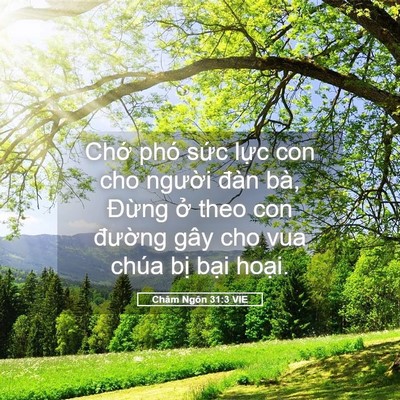 Picture 05 - Châm Ngôn 31:3 VIE - Chớ phó sức lực con cho người đàn - Bible Verse Picture