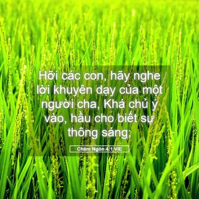 Picture 05 - Châm Ngôn 4:1 VIE - Hỡi các con, hãy nghe lời khuyên dạy - Bible Verse Picture