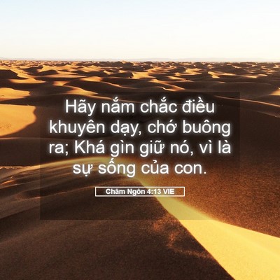 Picture 05 - Châm Ngôn 4:13 VIE - Hãy nắm chắc điều khuyên dạy, chớ - Bible Verse Picture