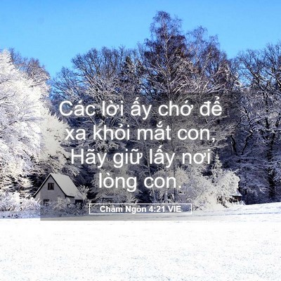 Picture 05 - Châm Ngôn 4:21 VIE - Các lời ấy chớ để xa khỏi mắt con, - Bible Verse Picture