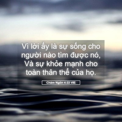 Picture 05 - Châm Ngôn 4:22 VIE - Vì lời ấy là sự sống cho người nào - Bible Verse Picture