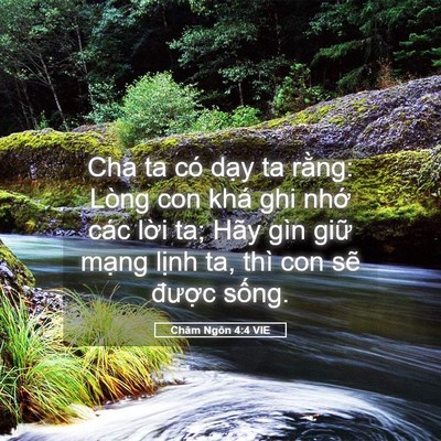 Picture 05 - Châm Ngôn 4:4 VIE - Cha ta có dạy ta rằng: Lòng con khá ghi - Bible Verse Picture