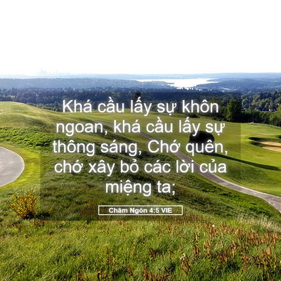 Picture 05 - Châm Ngôn 4:5 VIE - Khá cầu lấy sự khôn ngoan, khá cầu - Bible Verse Picture
