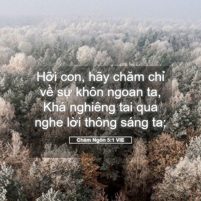 Picture 05 - Châm Ngôn 5:1 VIE - Hỡi con, hãy chăm chỉ về sự khôn ngoan - Bible Verse Picture