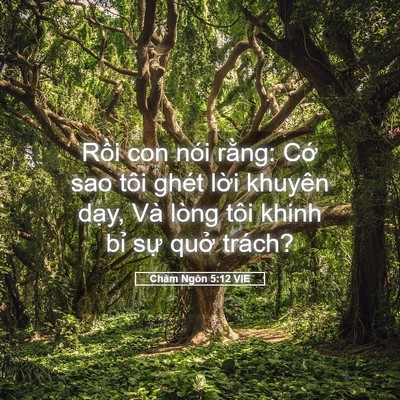 Picture 05 - Châm Ngôn 5:12 VIE - Rồi con nói rằng: Cớ sao tôi ghét lời - Bible Verse Picture