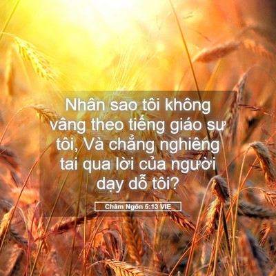 Picture 05 - Châm Ngôn 5:13 VIE - Nhân sao tôi không vâng theo tiếng giáo - Bible Verse Picture