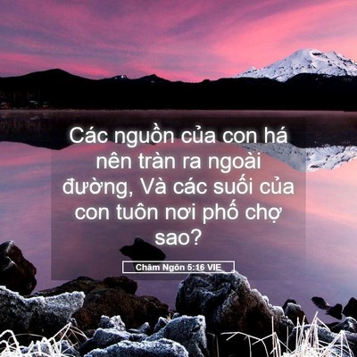 Picture 05 - Châm Ngôn 5:16 VIE - Các nguồn của con há nên tràn ra ngoài - Bible Verse Picture