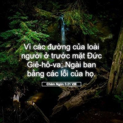 Picture 05 - Châm Ngôn 5:21 VIE - Vì các đường của loài người ở - Bible Verse Picture