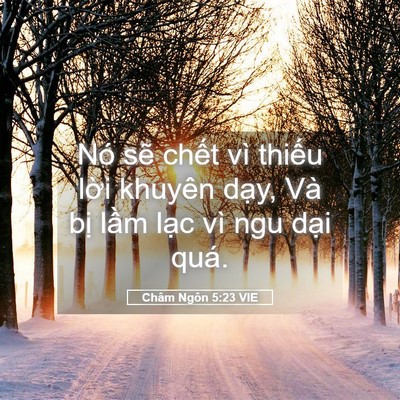 Picture 05 - Châm Ngôn 5:23 VIE - Nó sẽ chết vì thiếu lời khuyên dạy, - Bible Verse Picture