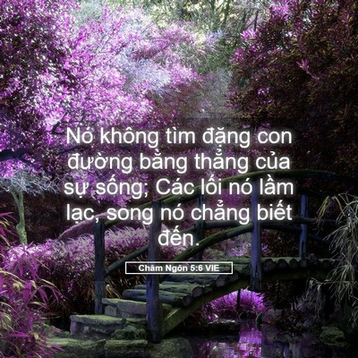 Picture 05 - Châm Ngôn 5:6 VIE - Nó không tìm đặng con đường bằng - Bible Verse Picture