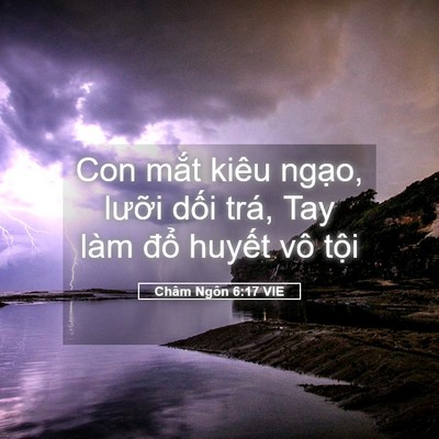Picture 05 - Châm Ngôn 6:17 VIE - Con mắt kiêu ngạo, lưỡi dối trá, Tay - Bible Verse Picture
