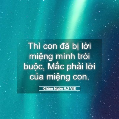 Picture 05 - Châm Ngôn 6:2 VIE - Thì con đã bị lời miệng mình trói - Bible Verse Picture