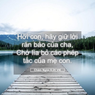 Picture 05 - Châm Ngôn 6:20 VIE - Hỡi con, hãy giữ lời răn bảo của cha, - Bible Verse Picture