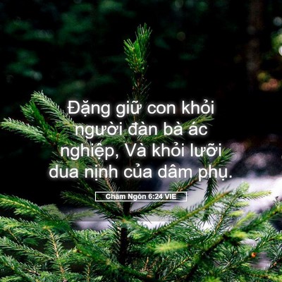 Picture 05 - Châm Ngôn 6:24 VIE - Đặng giữ con khỏi người đàn bà ác - Bible Verse Picture