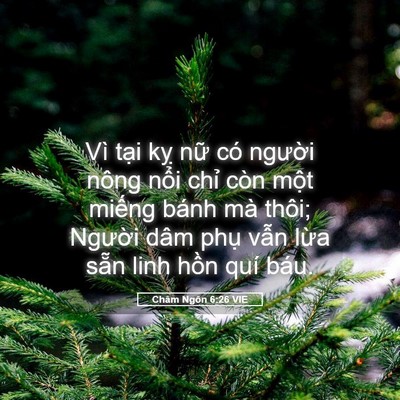 Picture 05 - Châm Ngôn 6:26 VIE - Vì tại kỵ nữ có người nông nổi - Bible Verse Picture