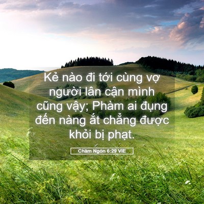 Picture 05 - Châm Ngôn 6:29 VIE - Kẻ nào đi tới cùng vợ người lân - Bible Verse Picture
