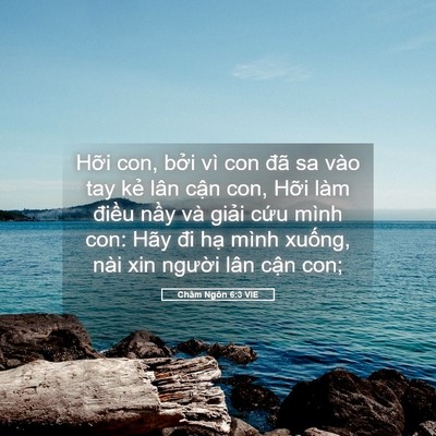 Picture 05 - Châm Ngôn 6:3 VIE - Hỡi con, bởi vì con đã sa vào tay kẻ - Bible Verse Picture