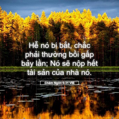 Picture 05 - Châm Ngôn 6:31 VIE - Hễ nó bị bắt, chắc phải thường - Bible Verse Picture