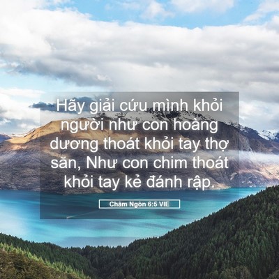 Picture 05 - Châm Ngôn 6:5 VIE - Hãy giải cứu mình khỏi người như con - Bible Verse Picture