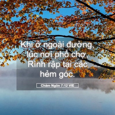 Picture 05 - Châm Ngôn 7:12 VIE - Khi ở ngoài đường, lúc nơi phố chợ, - Bible Verse Picture
