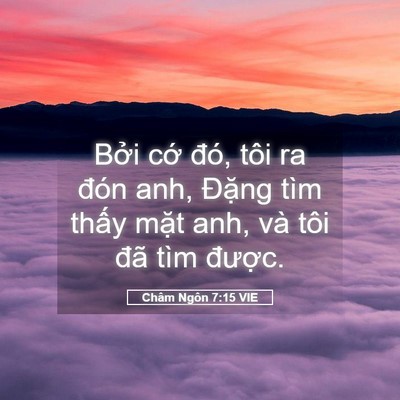 Picture 05 - Châm Ngôn 7:15 VIE - Bởi cớ đó, tôi ra đón anh, Đặng tìm - Bible Verse Picture