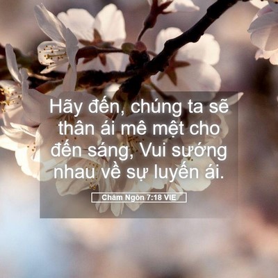 Picture 05 - Châm Ngôn 7:18 VIE - Hãy đến, chúng ta sẽ thân ái mê mệt - Bible Verse Picture