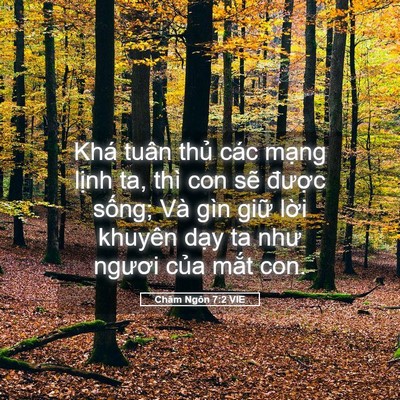 Picture 05 - Châm Ngôn 7:2 VIE - Khá tuân thủ các mạng lịnh ta, thì con - Bible Verse Picture