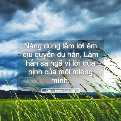 Picture 05 - Châm Ngôn 7:21 VIE - Nàng dùng lắm lời êm dịu quyến dụ - Bible Verse Picture
