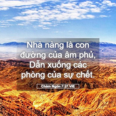 Picture 05 - Châm Ngôn 7:27 VIE - Nhà nàng là con đường của âm phủ, - Bible Verse Picture