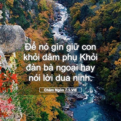 Picture 05 - Châm Ngôn 7:5 VIE - Để nó gìn giữ con khỏi dâm phụ Khỏi - Bible Verse Picture