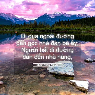 Picture 05 - Châm Ngôn 7:8 VIE - Đi qua ngoài đường gần góc nhà đàn - Bible Verse Picture