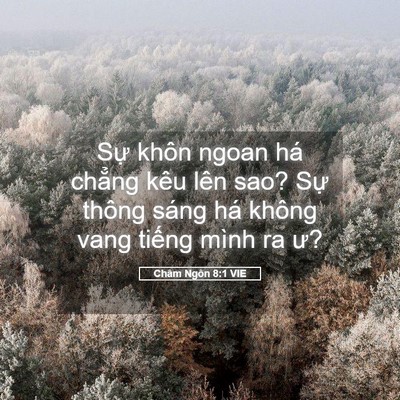 Picture 05 - Châm Ngôn 8:1 VIE - Sự khôn ngoan há chẳng kêu lên sao? Sự - Bible Verse Picture