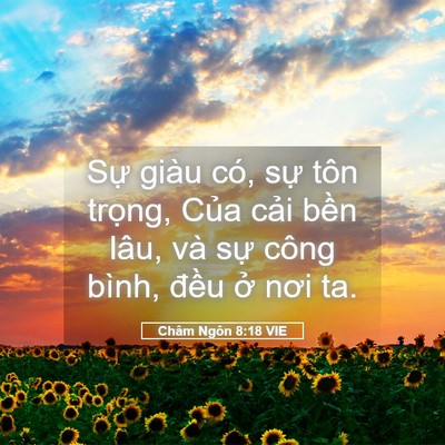 Picture 05 - Châm Ngôn 8:18 VIE - Sự giàu có, sự tôn trọng, Của cải - Bible Verse Picture