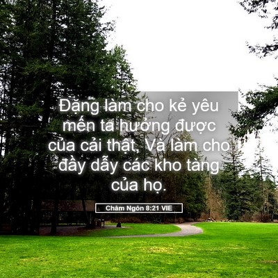 Picture 05 - Châm Ngôn 8:21 VIE - Đặng làm cho kẻ yêu mến ta hưởng - Bible Verse Picture