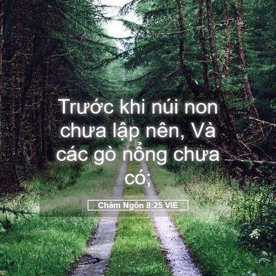 Picture 05 - Châm Ngôn 8:25 VIE - Trước khi núi non chưa lập nên, Và các - Bible Verse Picture